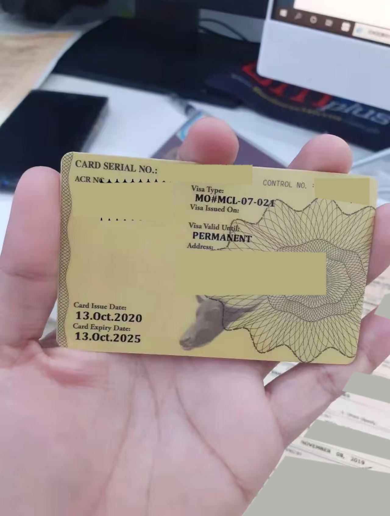 13A 黄卡样例：Permanent 永居 ACR I-Card，个人信息已遮挡。